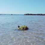 Daire A'mari - - - 100mt Dalla Foggia - 100 Meters From The Sciacca